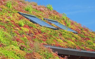 Didcot living roof systems